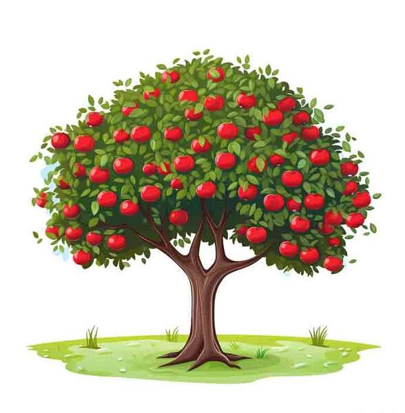 عکس نقاشی ساده درخت سیب