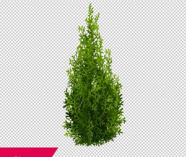 عکس نقاشی ساده درخت سرو