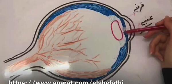 نقاشی ساده چشم برای کلاس پنجم