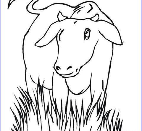 عکس نقاشی شکل گاو کودکانه