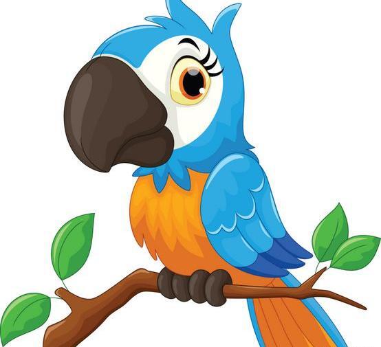 عکس نقاشی طوطی برزیلی