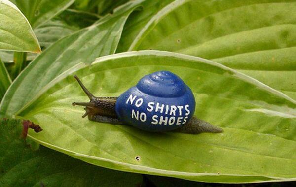 عکس نقاشی حلزون سخت