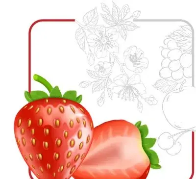 عکس نقاشی توت فرنگی نصف شده