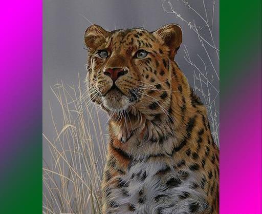 عکس نقاشی روی صورت یوزپلنگ
