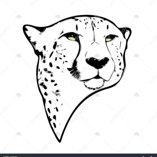 عکس نقاشی روی صورت یوزپلنگ