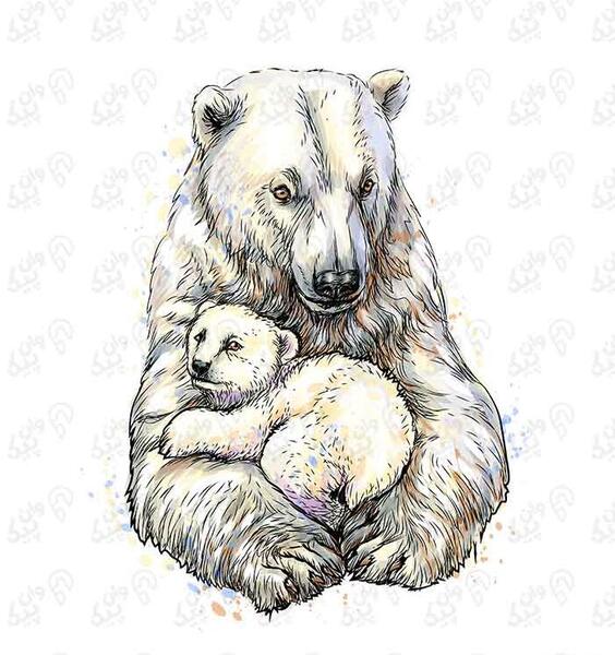 عکس نقاشی صورت خرس وحشی
