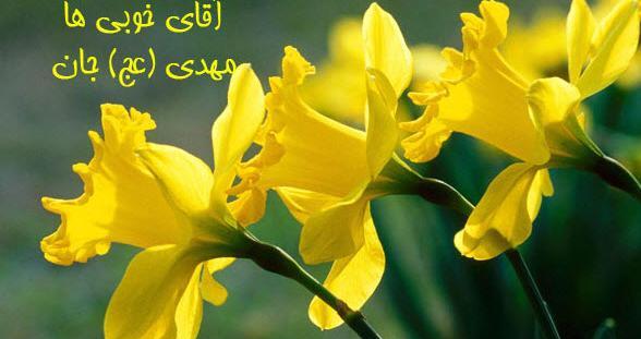 عکس نوشته های تبریک ولادت امام زمان