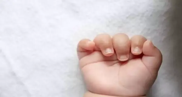 عکس تصویر گواهی ولادت نوزاد