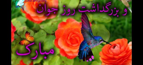 متحرک عکس ولادت علی اکبر