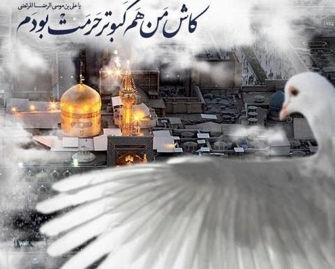 عکس در مورد ولادت امام رضا علیه السلام