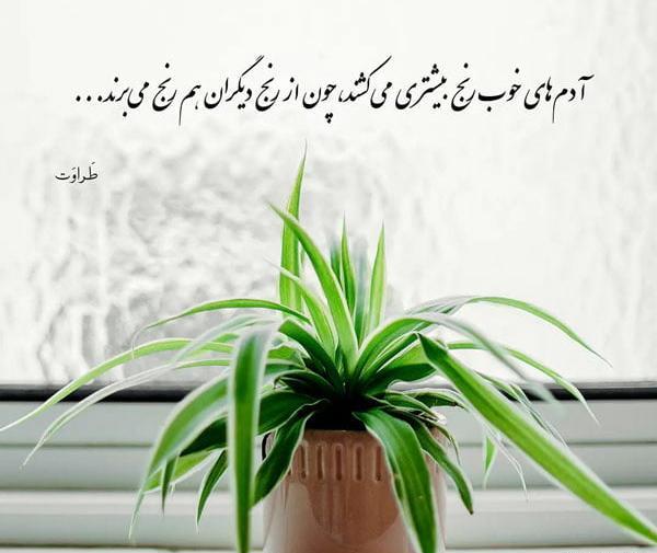 عکس پروفایل خوبی بیش از حد