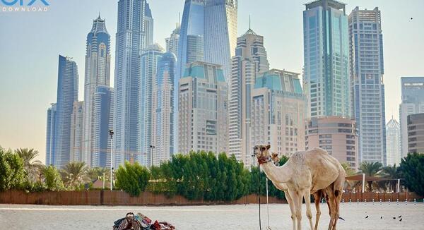 عکس دبی با کیفیت بالا