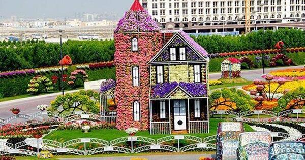 عکس باغ گلها در دبی