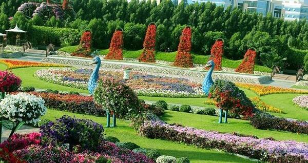 عکس باغ گلها در دبی