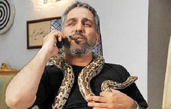 عکس عروسی مهران مدیری دبی