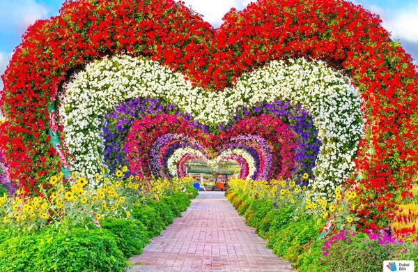 زیباترین عکس دبی