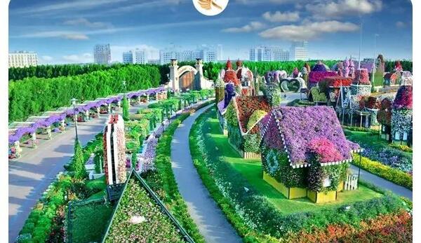 عکس پارک گل دبی
