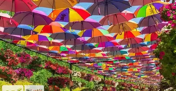 عکس پارک گل دبی