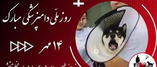عکس نوشته تبریک روز دامپزشک