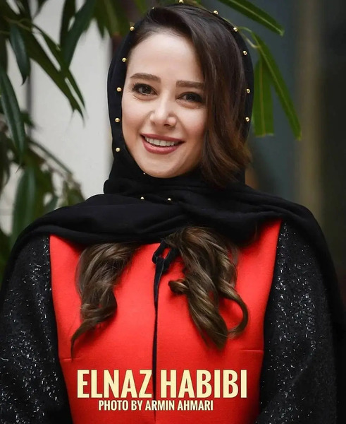 عکس شوهر واقعی الناز حبیبی