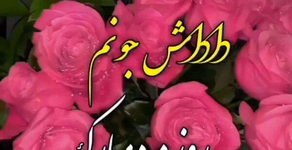 عکس روز پسر برای داداش