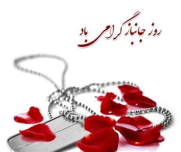 عکس روز جانباز برای پدر