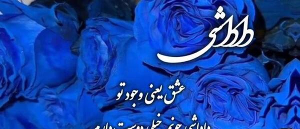 عکس روز مرد به برادر