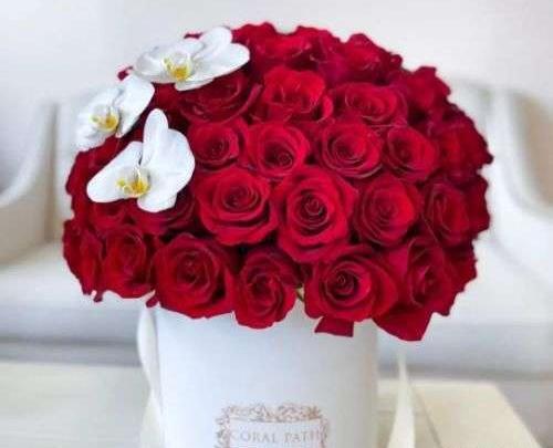 عکس گل واسه روز مرد