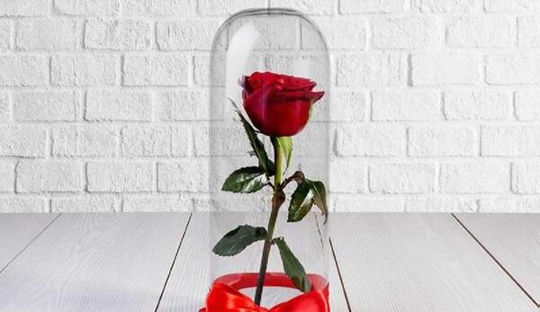 عکس گل واسه روز مرد