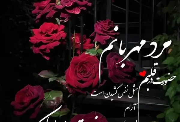 زیباترین عکس تبریک روز مرد