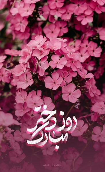 عکس پروفایل میلاد حضرت معصومه