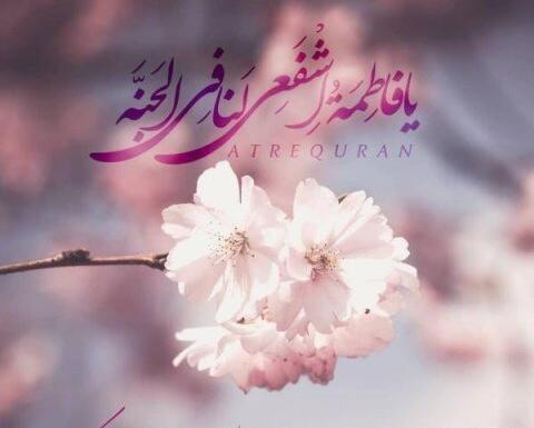 عکس تولد حضرت معصومه س