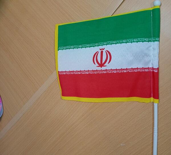 عکس پرچم ایران روی دست کودکان