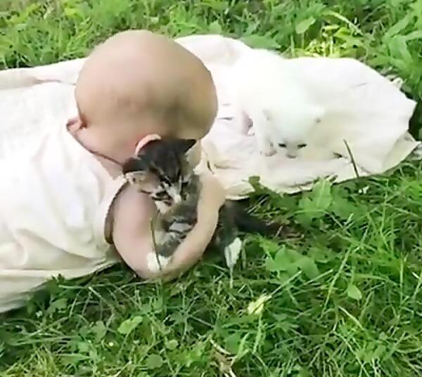 عکس بچه نی نی گربه