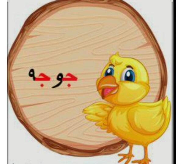 عکس جوجه کلاس اولی