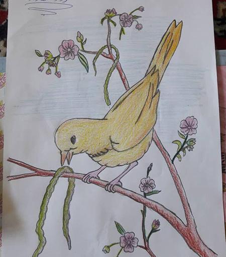 عکس نقاشی کلاس سومی ها