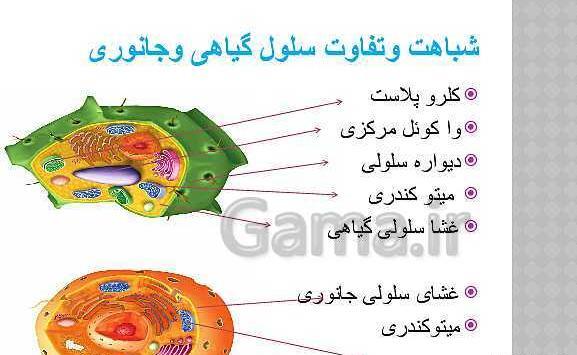 عکس علوم کلاس هفتم