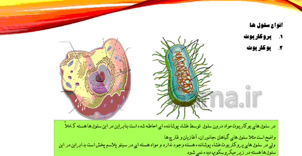 عکس علوم کلاس هفتم