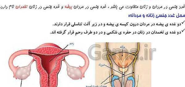 عکس علوم کلاس هشتم