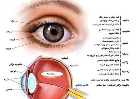 عکس علوم کلاس هشتم