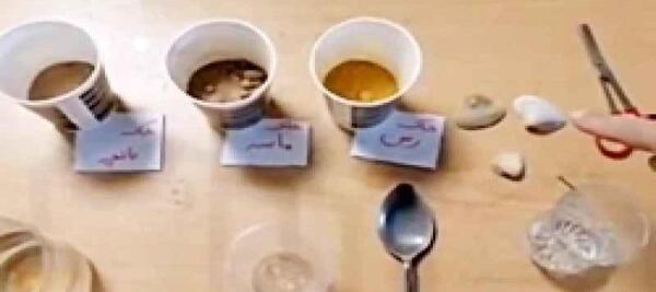 عکس فسیل دایناسور کلاس پنجم