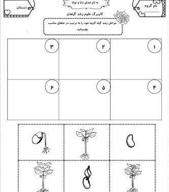 عکس رشد لوبیا کلاس اول
