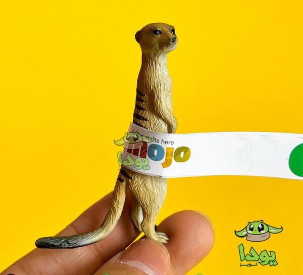 عکس ماکت گوش کلاس پنجم
