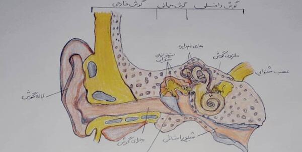 عکس نقاشی گوش کلاس پنجم