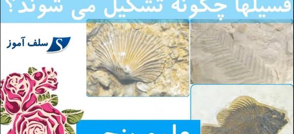 عکس فسیل ها کلاس پنجم