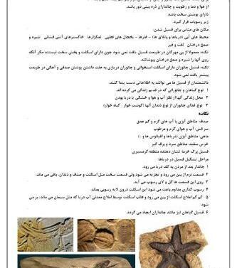 عکس فسیل صدف کلاس پنجم