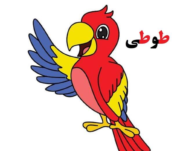عکس طوطی برای کلاس اول