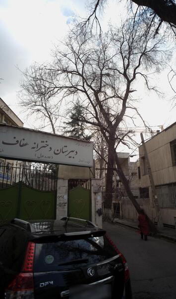عکس مدرسه ی عفاف