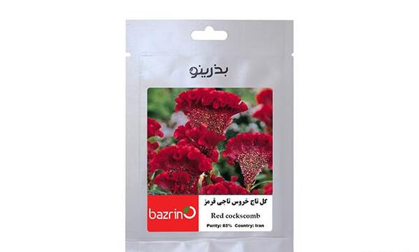 عکس تاج خروسی