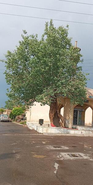 عکس روستای تاج آباد